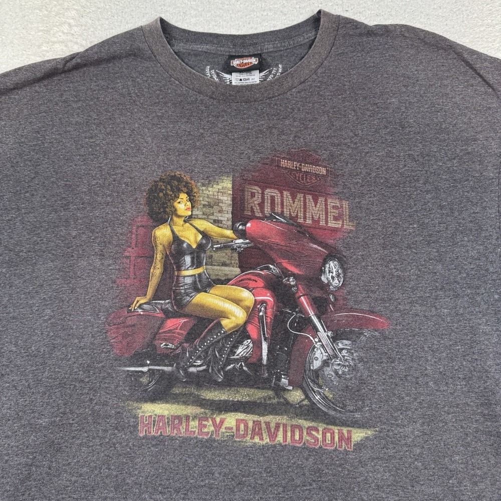 Harley Davidson Shirt Men 3XL Gray Rommel New Castle DE Double Sided Biker Built